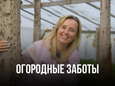 Огородные заботы