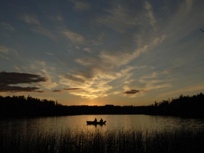Там, где хозяйничают птицы и рыбы