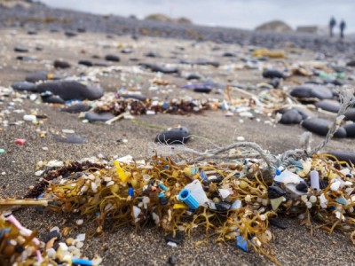 Моя борьба с мусором