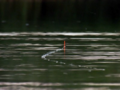 Универсальный поплавок