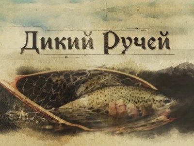 Дикий ручей
