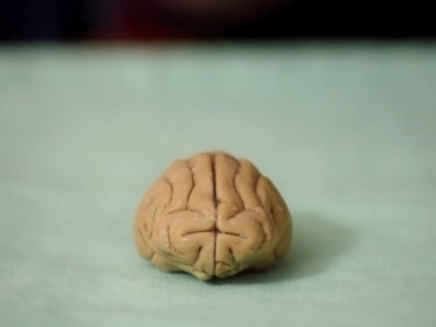 Пытливый ум