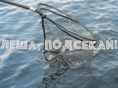 Лёша, подсекай!