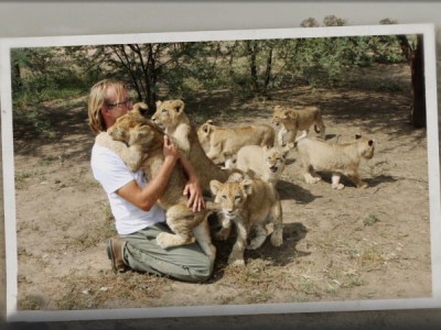 Десять львов Алексея Тихонова