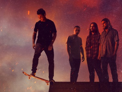 По волчьим законам