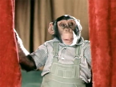 Украли зебру