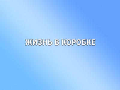 Жизнь в коробке