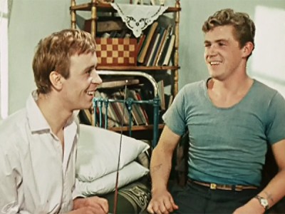 Стежки — дорожки