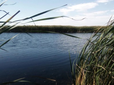 Двое против рыбы