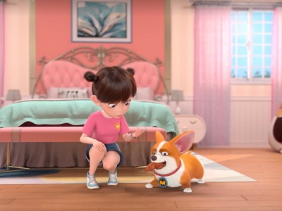 Корги по имени Моко. Новый питомец