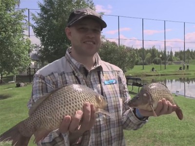 Пофестивалим!