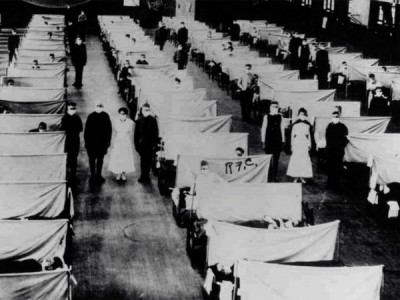 Испанский грипп. Великий убийца