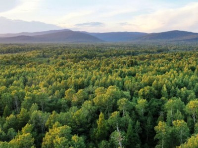 Тайны Большехехцирского заповедника