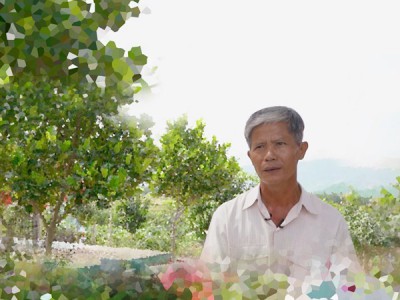 (Не)рожденные во Вьетнаме