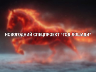 Новогодний спецпроект Год лошади