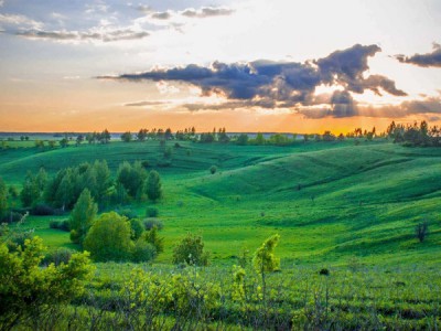 Экспедиции в дикую природу