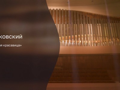Чайковский. Спящая красавица