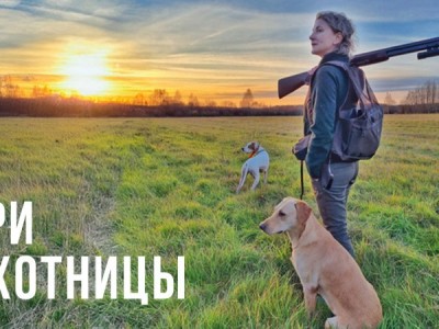 Три охотницы