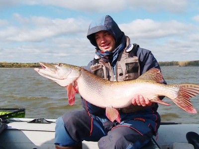 В погоне за трофеем