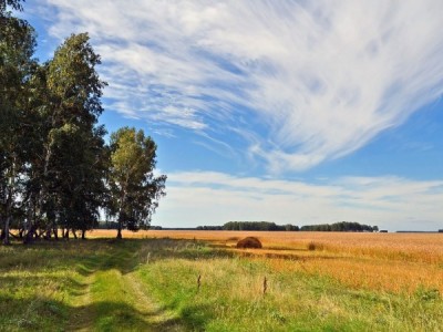 Pодные просторы