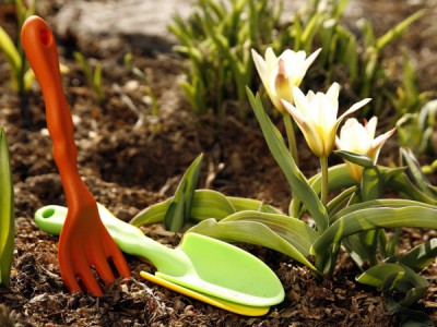 Ваш агроном