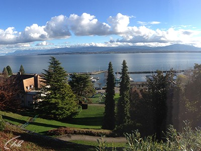 Резидент Мария (3)