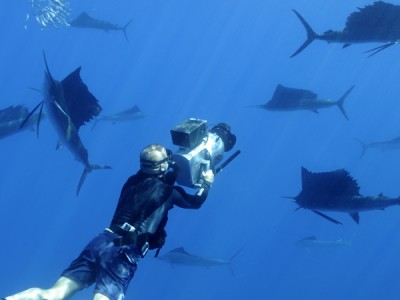 Мировой океан