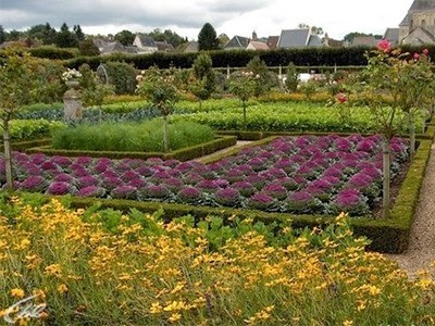 Декоративный огород