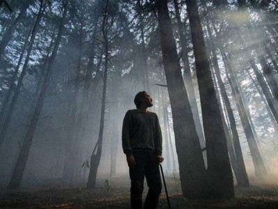 Озера страха. Присутствие