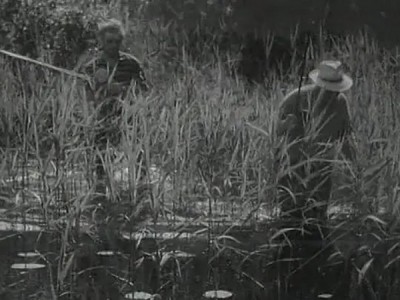 Ночной гость