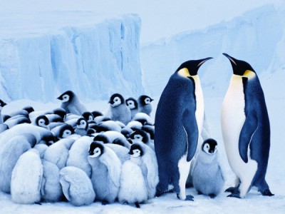 На морском дне