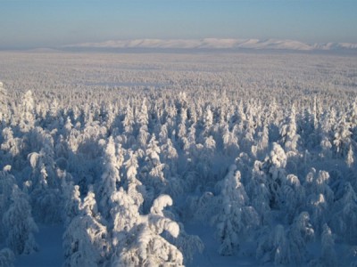 На север в поисках счастья