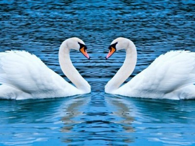 Планета любви