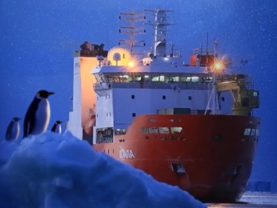 Семь лет в Антарктиде