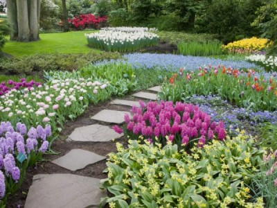 Весенние квадраты