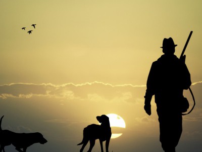 Таежный промысел