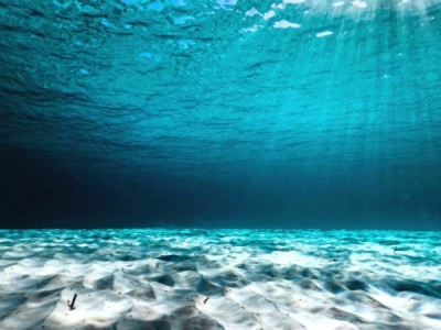 Человек и море