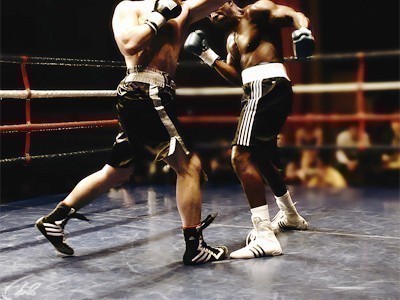 Бокс. Шамо боксинг Event-90