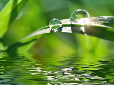 Перелётные странники