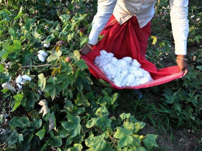 100% хлопок. Сделано в Индии