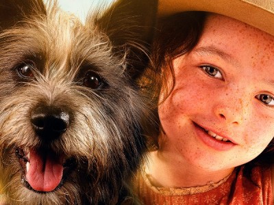 Мой любимый двортерьер