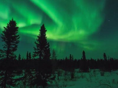 Королева севера