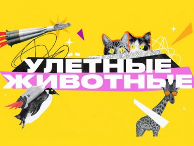 Улетные животные