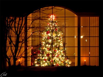 Ёлочка, гори!