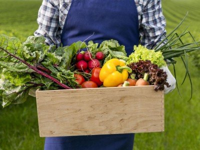 Природа бутерброда