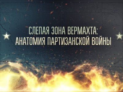 Слепая зона Вермахта: Анатомия партизанской войны