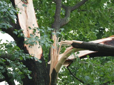 Как починить природу