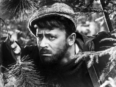 Хмурый Вангур