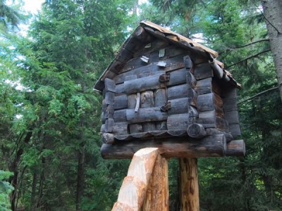 Удивительное рядом