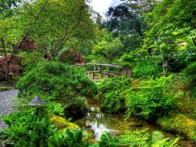 Сад своими руками